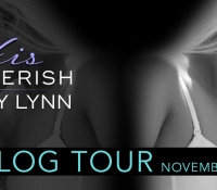 Blog Tour Promo Spot:  His to Cherish – Stacey Lynn