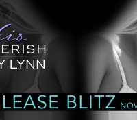 Release Blitz:  His to Cherish – Stacey Lynn